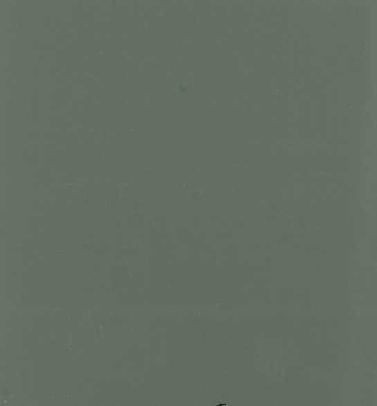 GRIS DEUTZ MOTEUR 610