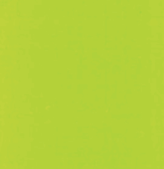 VERT PRAMAC 1751