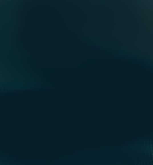 GRIS MAILLEUX  CHASSIS 786