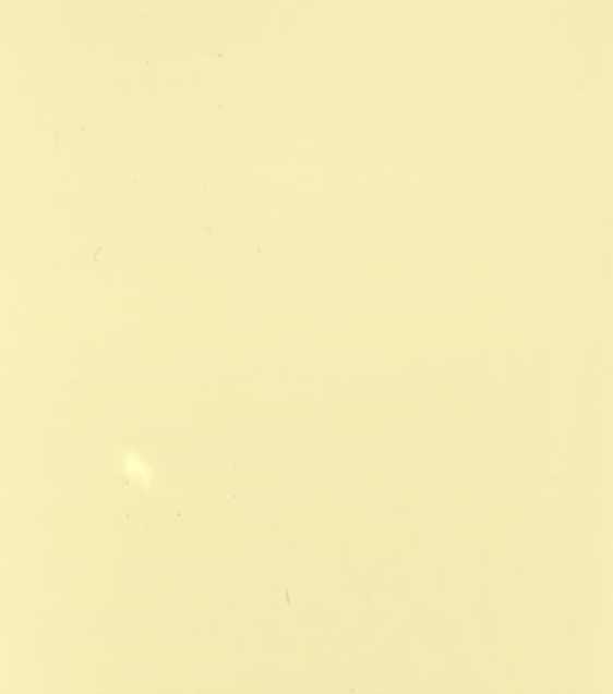 BLANC CASE 211