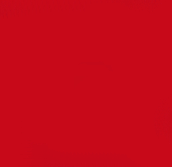 ROUGE WACKER-NEUSON 1334