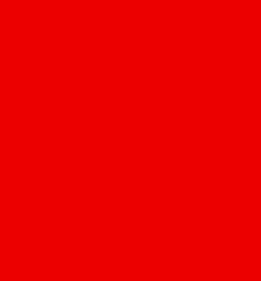 ROUGE AGRINT 1336
