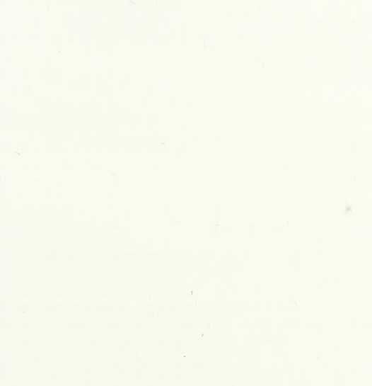 BLANC NEW HOLLAND 245