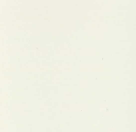 BLANC RENAULT ROUE 206