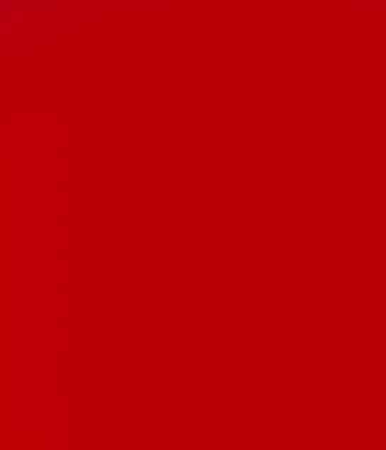 ROUGE DAVID BROWN 1517