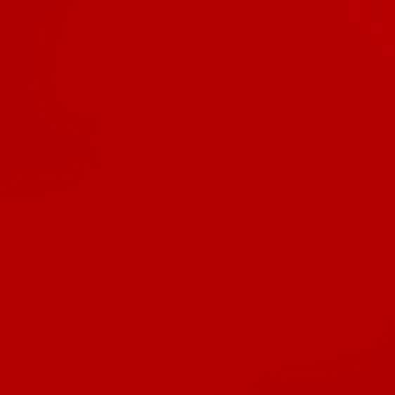 ROUGE SCHUITMACKER 1543