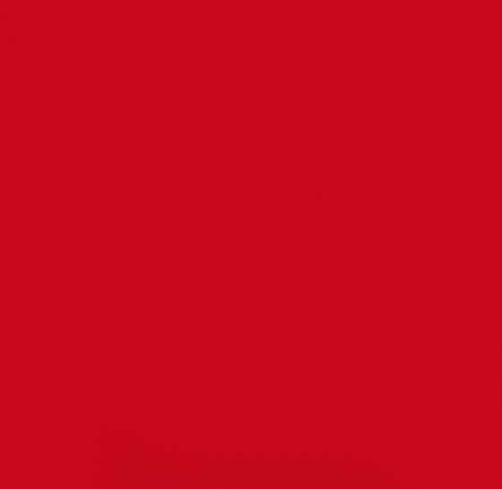 ROUGE YVMO 1541