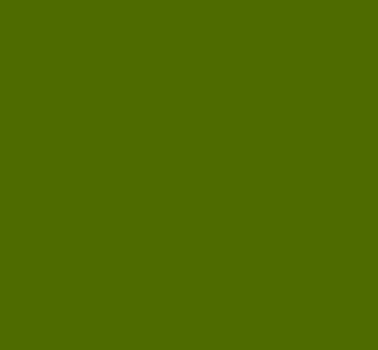 VERT AMAZONE 4021LA