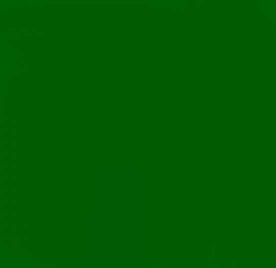 VERT GOURDON FONCE 1755