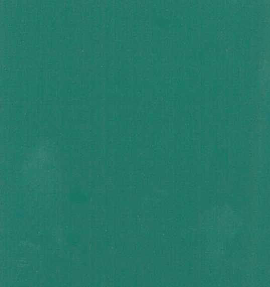 VERT YANMAR CLAIR  1747