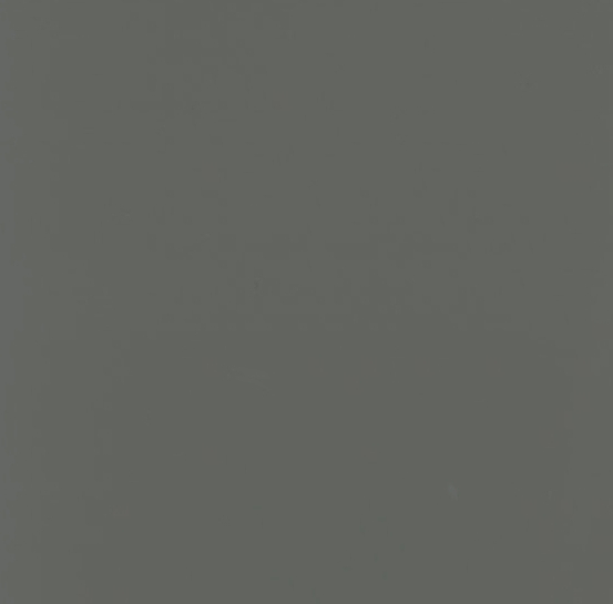 GRIS STANDARD 6010LA