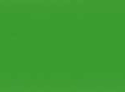 VERT EUROFARM 1845