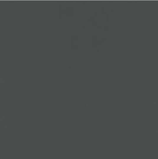 GRIS FACH METAL CLAIR 670