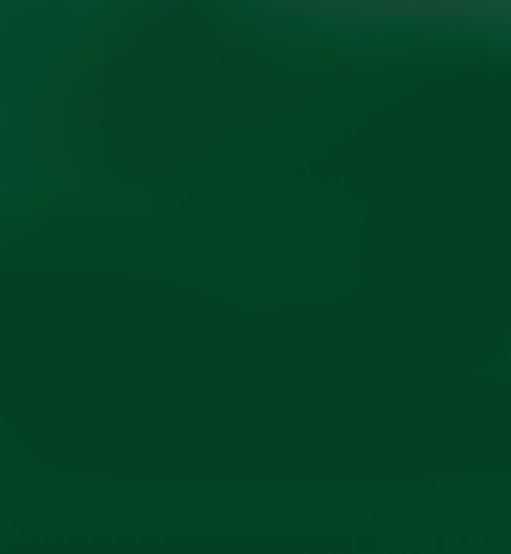 VERT EDEN PARC PLASTIQUE 1796