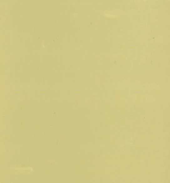 BEIGE CALVET NEW 120