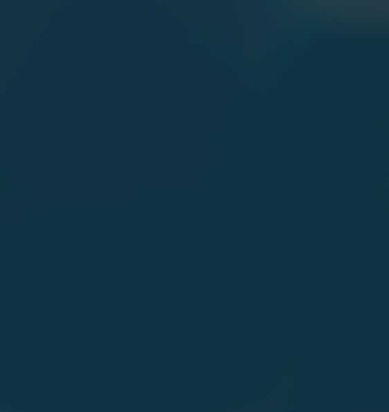 BLEU LANDINI CHASSIS 319