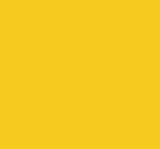 JAUNE BAUTZ COLLECTOR 851