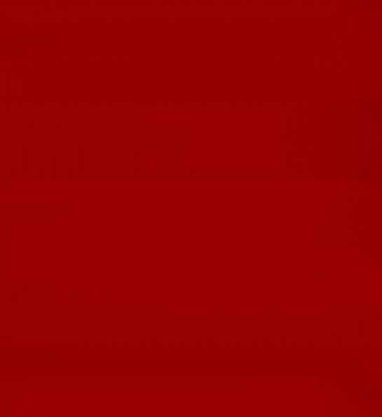 ROUGE LENORMAND 1316