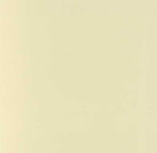 BEIGE LAMBORGHINI FORMULA 119