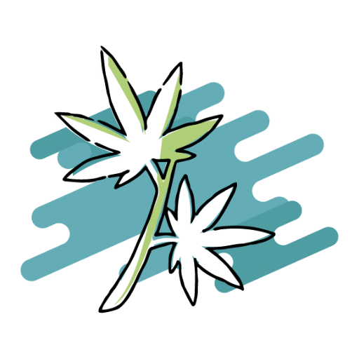 Corso Cannabis Medica I livello