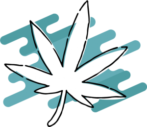 La Pianta di Cannabis Terapeutica