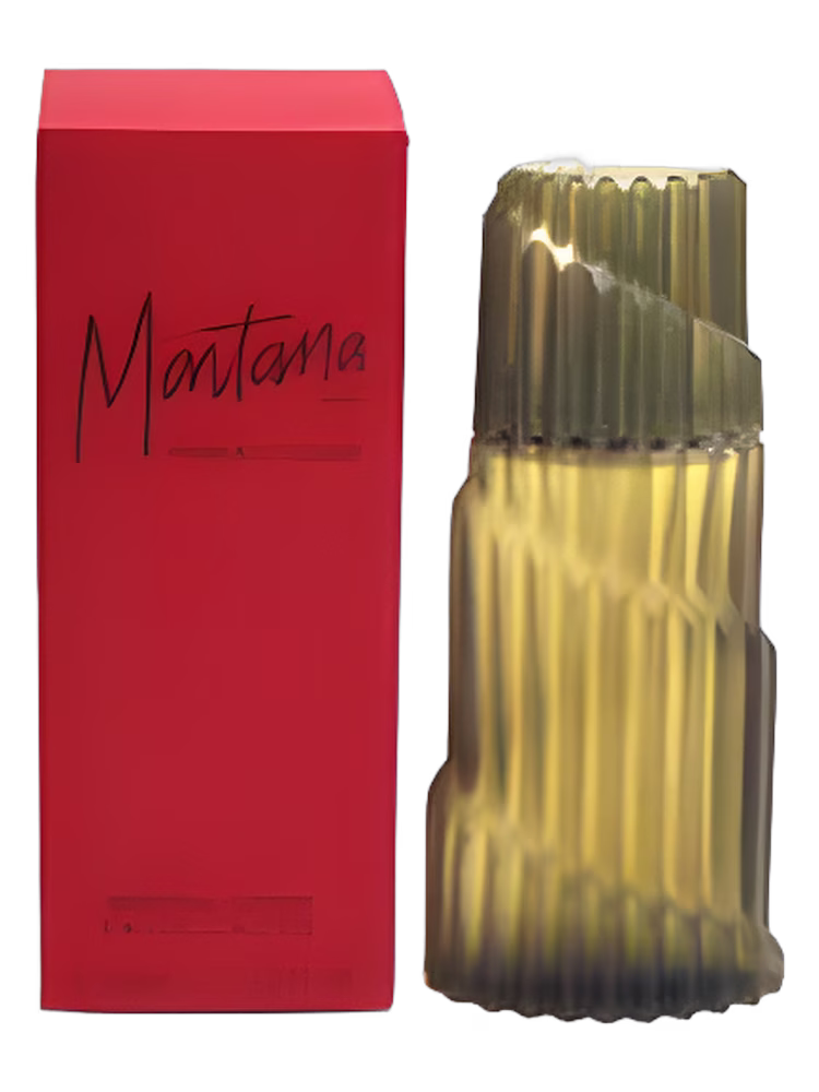 Montana Parfum d'Homme Montana for men bottle