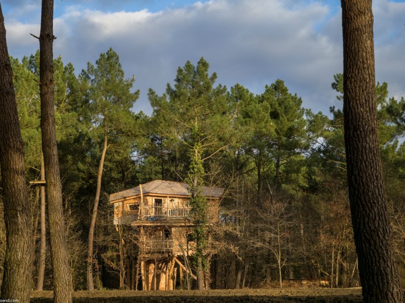Center Parcs Domaine Le Bois aux Daims - 2