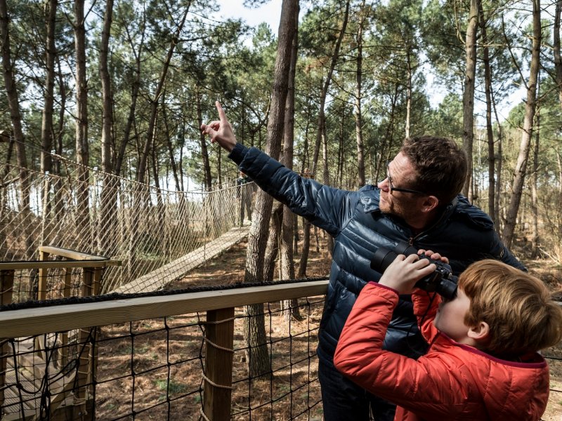Center Parcs Domaine Le Bois aux Daims - 47