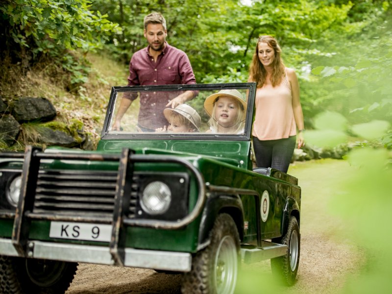 Center Parcs Domaine Le Bois aux Daims - 33