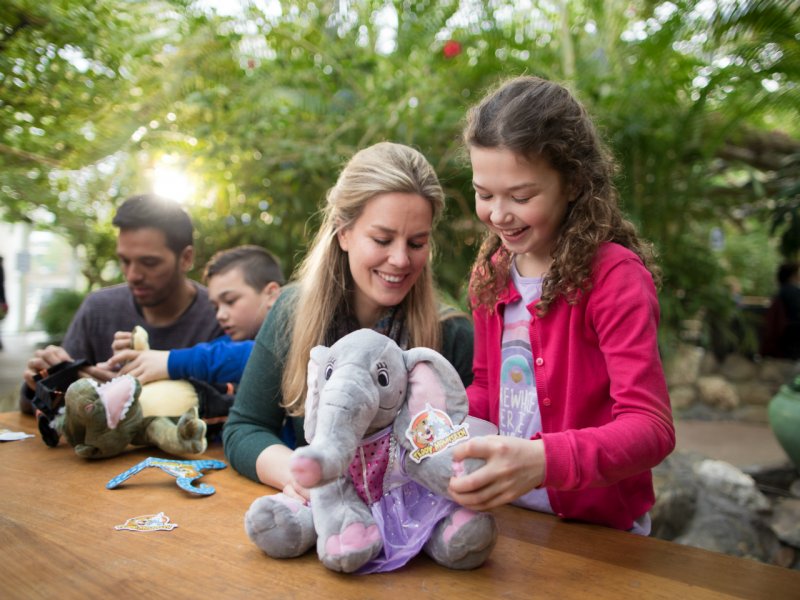 Center Parcs Domaine Le Bois aux Daims - 20