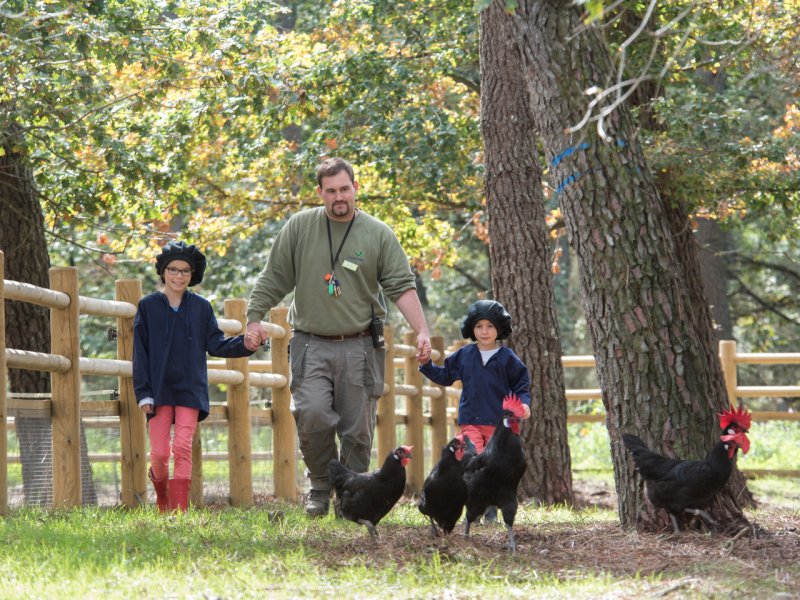 Center Parcs Domaine Le Bois aux Daims - 45