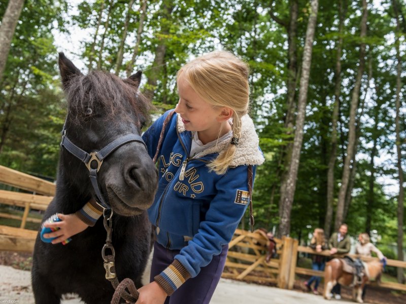 Center Parcs Domaine Les Bois-Francs - 19