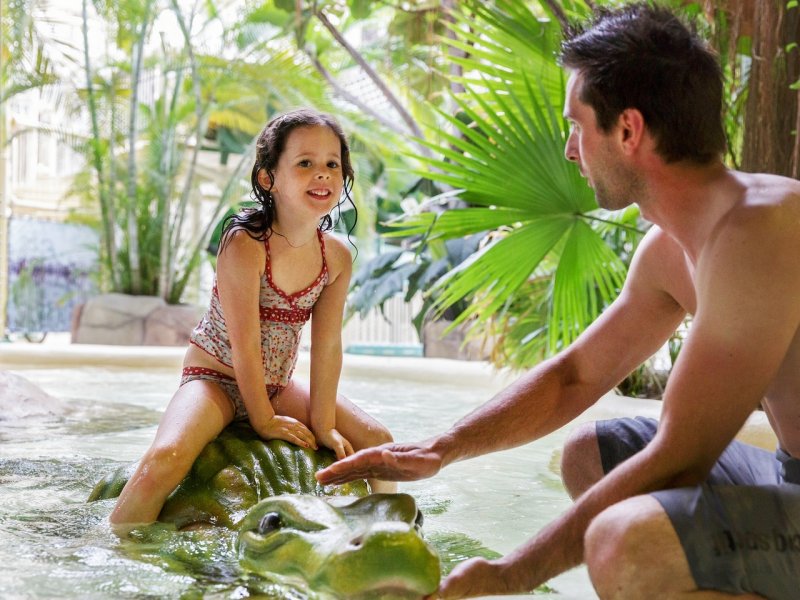 Center Parcs Domaine Les Bois-Francs - 38