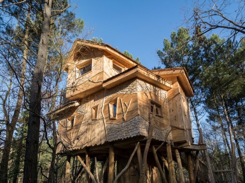 Center Parcs Domaine Le Bois aux Daims - 3
