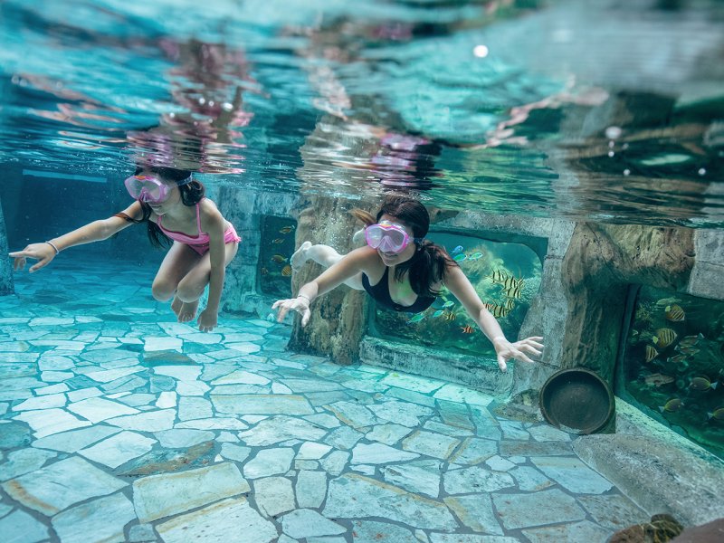 Center Parcs Domaine Le Bois aux Daims - 69