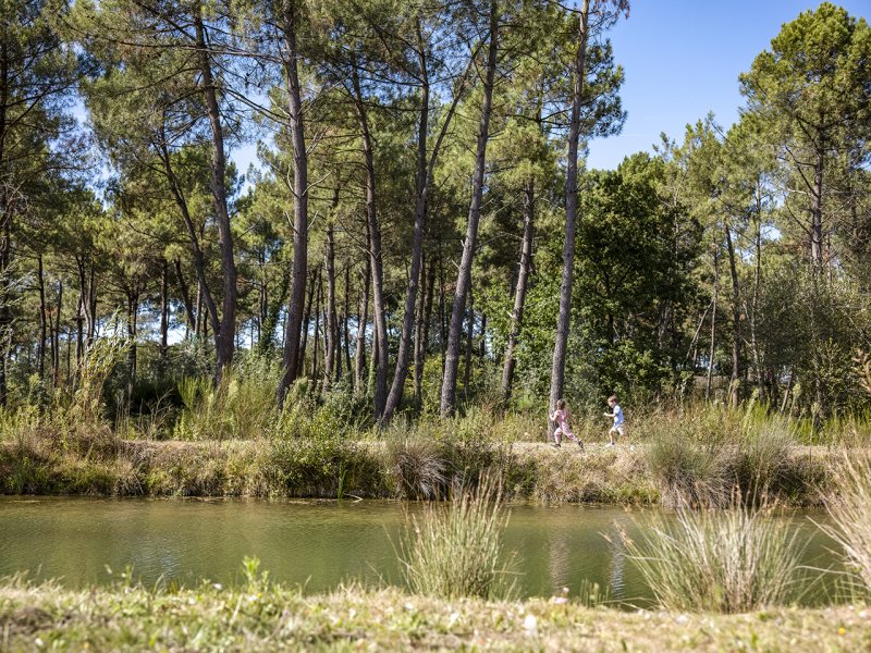 Center Parcs Domaine Le Bois aux Daims - 35