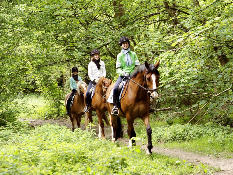 Center Parcs Domaine Le Bois aux Daims - 82