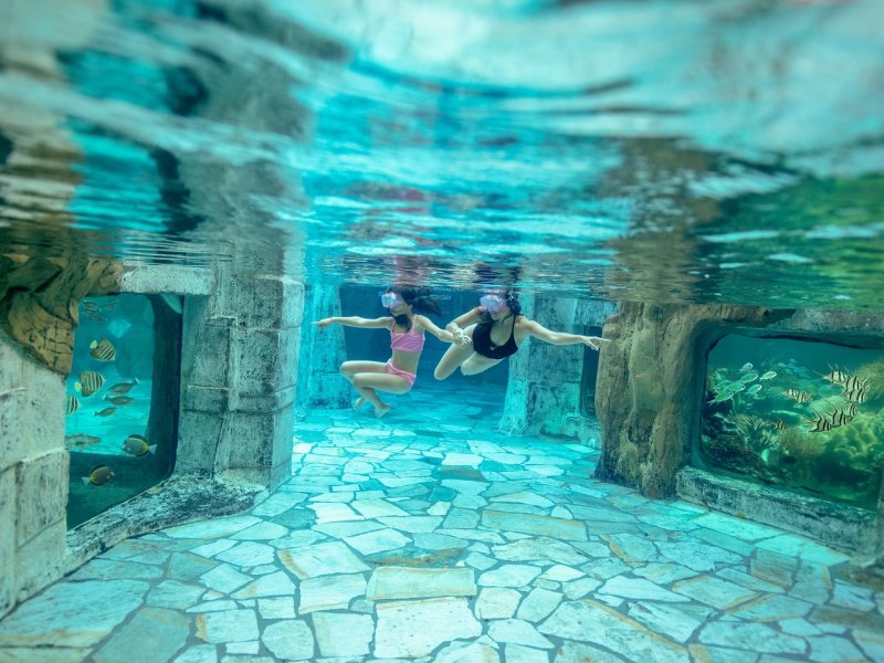 Center Parcs Domaine Le Bois aux Daims - 53