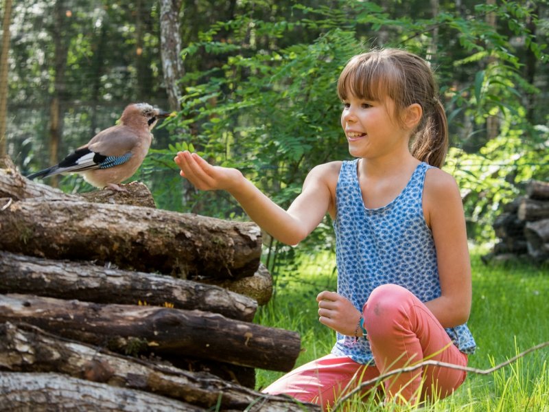 Center Parcs Domaine Le Bois aux Daims - 90