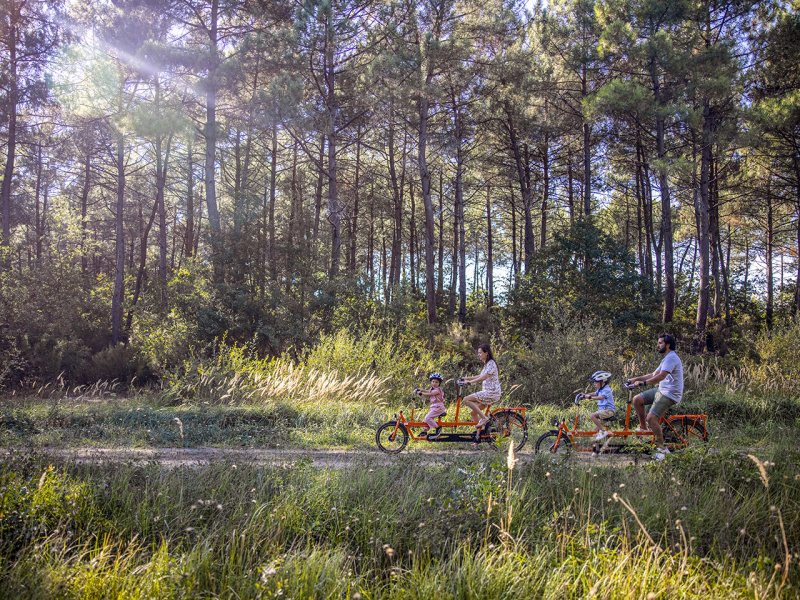 Center Parcs Domaine Les Bois-Francs - 94