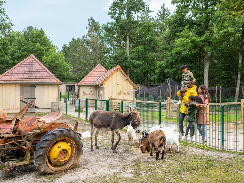 Center Parcs Domaine Les Bois-Francs - 81