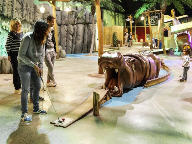 Center Parcs Domaine Les Bois-Francs - 108