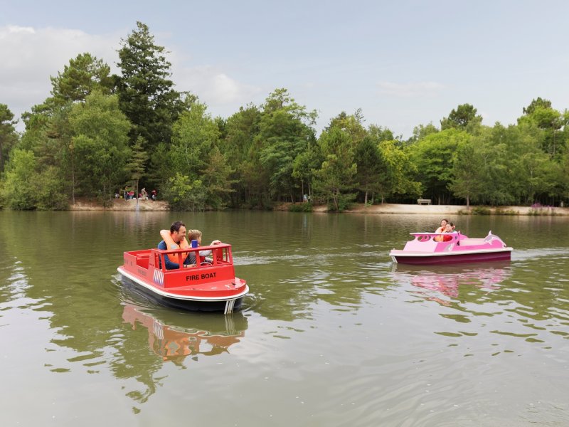 Center Parcs Domaine Les Bois-Francs - 72