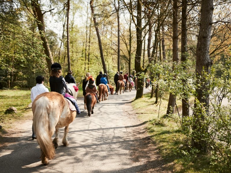 Center Parcs Domaine Les Hauts de Bruyères - 97