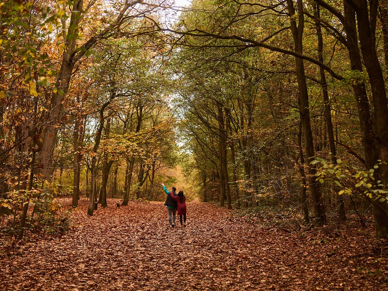 Center Parcs Het Heijderbos