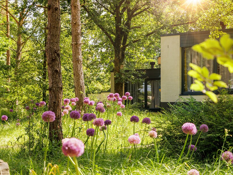 Center parcs  De Vossemeren