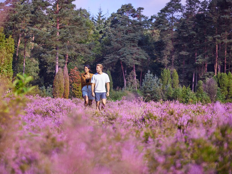 Photo 24 of Center Parcs Bispinger Heide