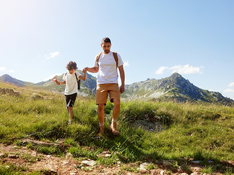 Le Pédrou S4p VueMont Dégagée