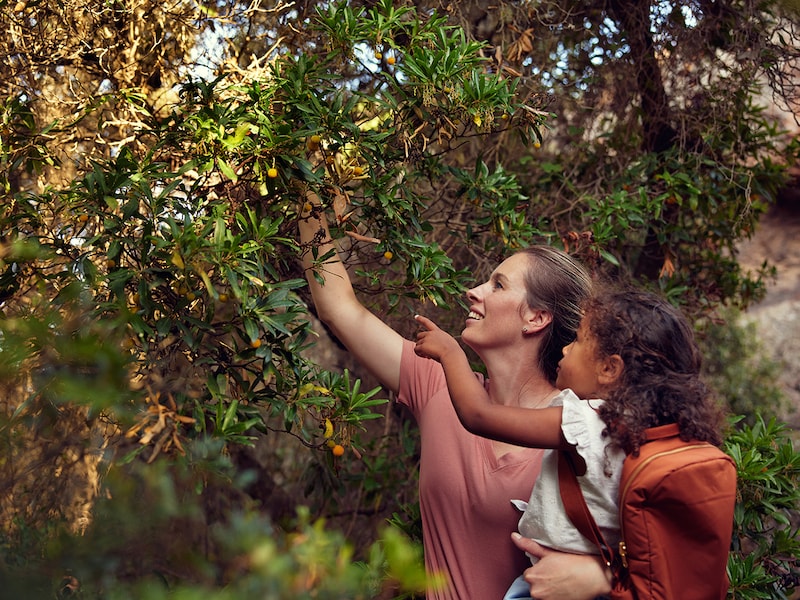 Studios communicants Sainte-Anne 25M