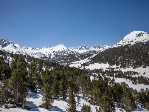 Bon plan Andorra Alba